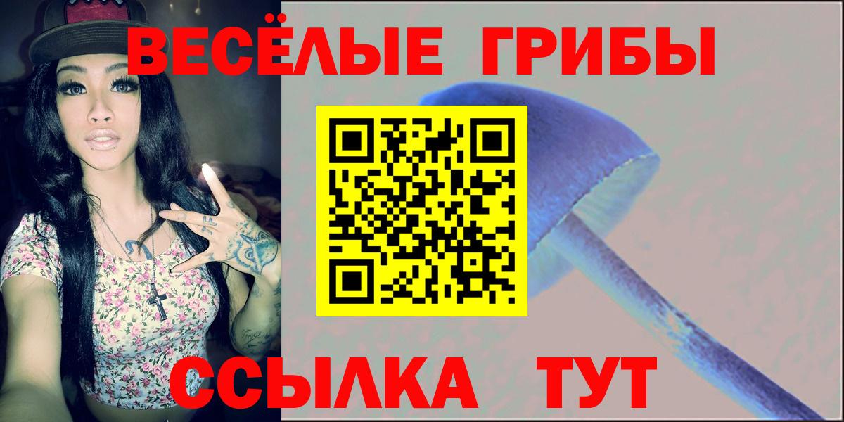 Воскресенск  Псилоцибиновые грибы Psilocybine cubensis  Галлюциногенные грибы Psilocybe  Вход с VPN 